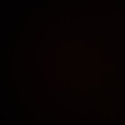 shririnSF's profile picture. 