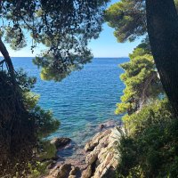 Louise Gill (@llouisegill) 's Twitter Profile Photo