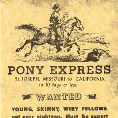 BryanMa56274916's profile picture. 