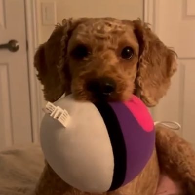 foreveryoung371's profile picture. 