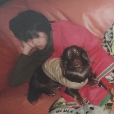 nekozane_ebisu's profile picture. 