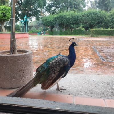 YessGG9's profile picture. 