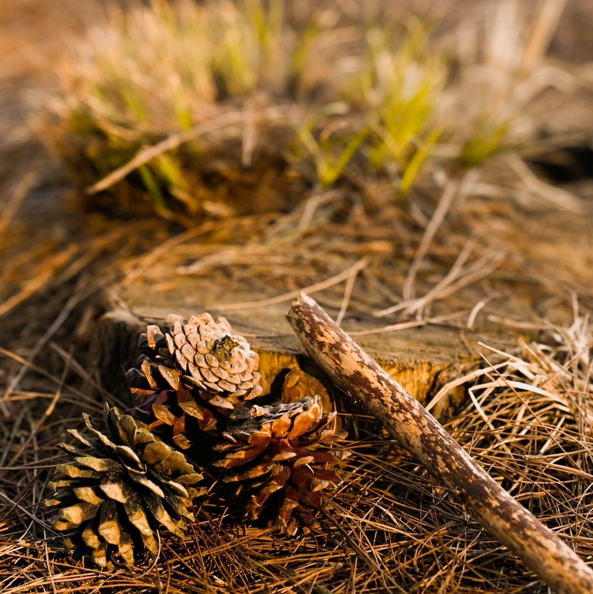 HWop1p's profile picture. 