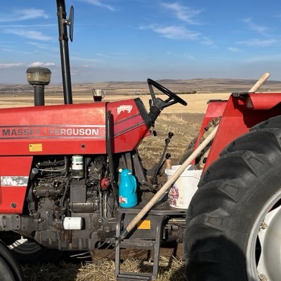 lmaz_imdat78598's profile picture. 