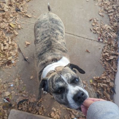 winter_fsss's profile picture. | Graphic designer and Creative player for @voidesports2x | 14 | 
https://t.co/IiVp7iYF4M