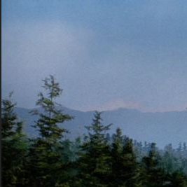 DarvadDesd42527's profile picture. 