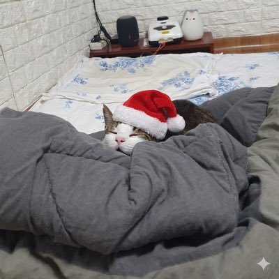 seti_park's profile picture. Korea Patent Attorney | Tech story teller | Live in Seoul 🇰🇷 | Youtube channel : https://t.co/6hW7CCkxa9