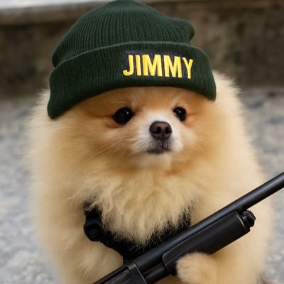 JimmySSolana's profile picture. 1 trade away from Gazillions.