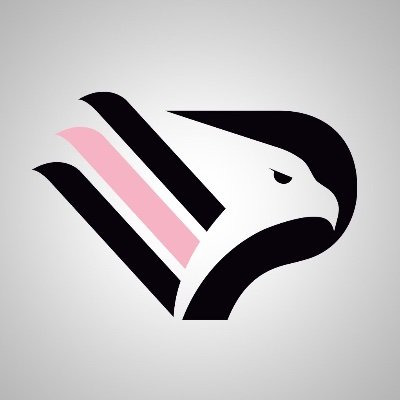 Palermofficial's profile picture. ⚽️ Official Twitter Account of Palermo Football Club 💗🖤 #siamoAquile 🦅