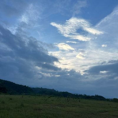 tyen94425's profile picture. 