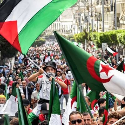 ModafNews's profile picture. Promoting tech and intellectualism