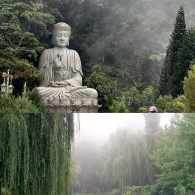 Chiaraforestaaa's profile picture. 