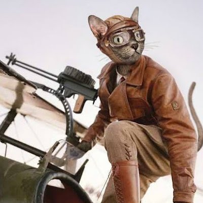 gabriel_to27396's profile picture. 