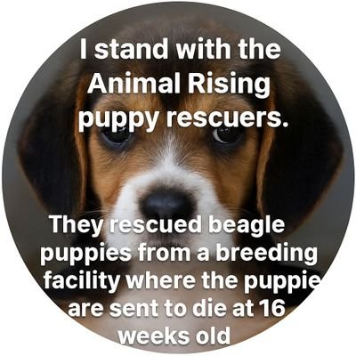 mjmaher4's profile picture. I'm for Animal Rights/Animal Liberation🐾🐾
I'm for Human Rights✊️✊️
and Free Palestine from The Evil Israeli Terror state.🇵🇸🇵🇸🇵🇸🇵🇸🇵🇸🇵🇸🇵🇸🇵🇸🇵🇸