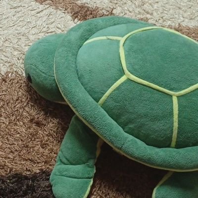 bolokehh's profile picture. 