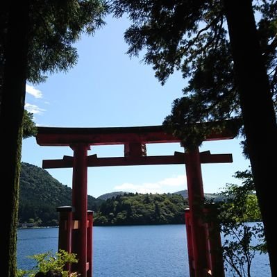 tao2030fine's profile picture. 40代四人家族。市役所20年勤務(内14年は税金部門)。コツコツ投資で2022年5月にFIREし専業投資家へ。株、株主優待、為替トラリピ、マイクロ法人で節税。マイルとゴルフ初心者。損益公開のプレッシャーで実力以上の結果を出す作戦中