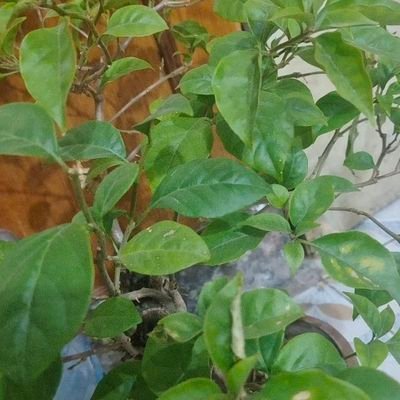 h52100n's profile picture. 