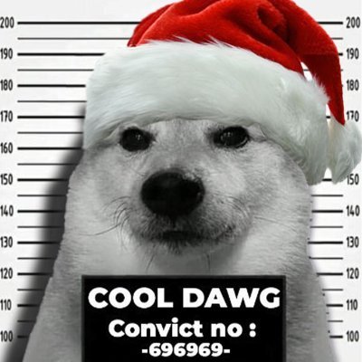 Coooldawgg's profile picture. Ur Tía's fav editor ;) 

DM me ✉️  if you need a Video Editor
then hit me up on Discord:  boisyy