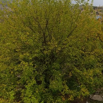 Bayrammrt23561's profile picture. herşey vaktine esirdir...
yaşamak direnmektir.👍✌️