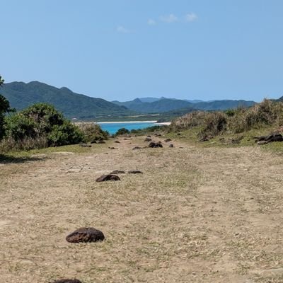 inu712's profile picture. 犬の人だよ。