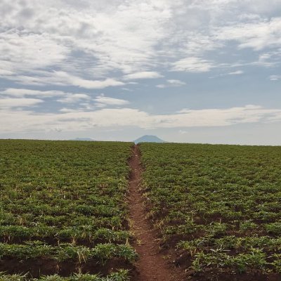 Maulana90458814's profile picture. “Once a Gunner, always a Gunner”
Hobby walking, running, Hiking and everything related to nature ...