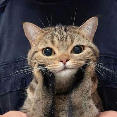 amp_pmap's profile picture. จะดีแค่ไหนถ้าเราได้แก่ไปด้วยกัน...♡