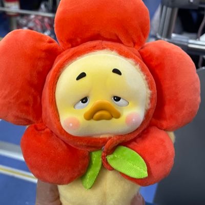 Dikansidikan's profile picture. 