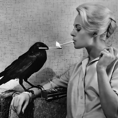 VentitreOttobre's profile picture. 