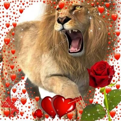 Benzhema9's profile picture. 