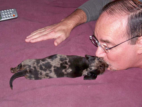 origamiwarrior's profile picture. 