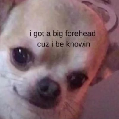 fareedudu__'s profile picture. Behind every delay💕there's khair ❤️
 Ex-jp✈💗