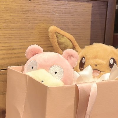 clanberry_san's profile picture. ポケぬい達を色々な場所へ連れていきたいです！！！！！あまり詳しくないですがゲームもします🎮