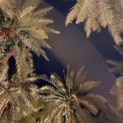 _sarahqur's profile picture. IT student at @_KSU