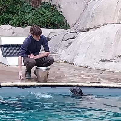 AlkyyCS's profile picture. .