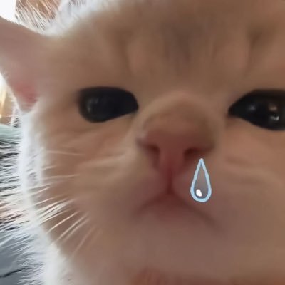 milxn9w's profile picture. 他界隈