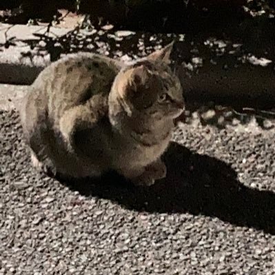 Syntax_3rr0r_'s profile picture. 