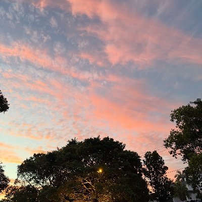 Bella_zzz16's profile picture. 