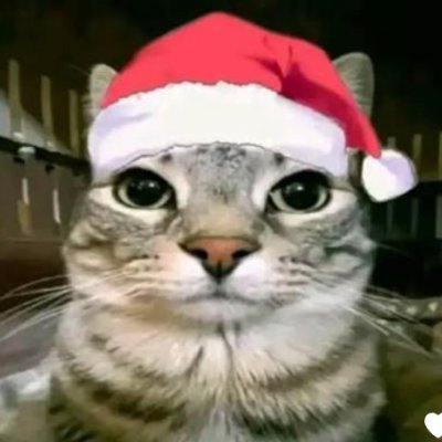 dumpdotfun_'s profile picture. 