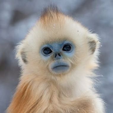 urvans_'s profile picture. 