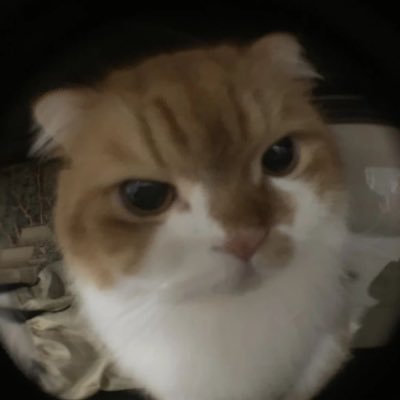 fEYroRJyW760314's profile picture. 癖に正直。好きなものを描きます。