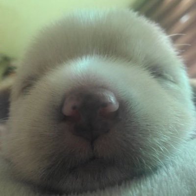 lck_itsempty's profile picture. 자, 다시 가보는거야 | artwork•video