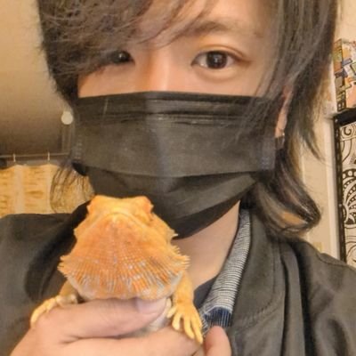 naxxxReptile's profile picture. ただの爬虫類好きの生き物マニア 無言フォロー、いいね失礼します🙇‍♂️ 爬虫類用のシェルター自作してます たまに絵も描きます。ご要望ございましたらDMにてご連絡くださいm(_ _)m
