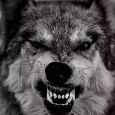 SamarWatch's profile picture. IT IS WHAT IT IS!!