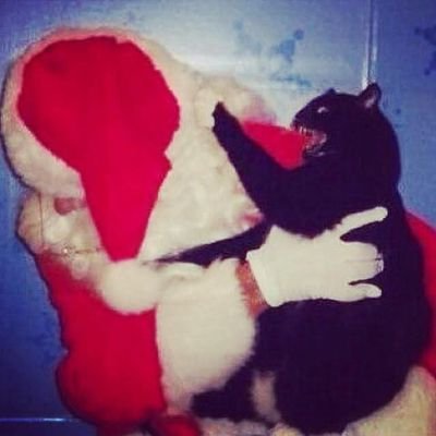 valentinamaia's profile picture. 