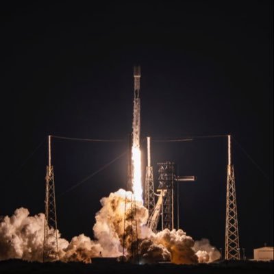 eeve_musk's profile picture. 