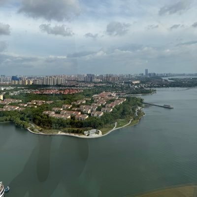 DePengDavid's profile picture. 