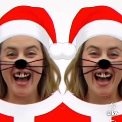 EggScott34332's profile picture. 