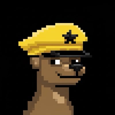 comradeweb3's profile picture. Just a Chill Guy • Moderator @Solflare • Prompt Engineer • Ambassador @flipfloplaunch