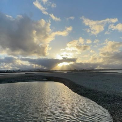 USACHRISTAIN's profile picture. Top 8 companies till I retire: Ordered by largest holdings: Intel, Nvidia, Apple, Google, Microsoft, Visa, Costco, Tesla. Intel to 1 trillion.