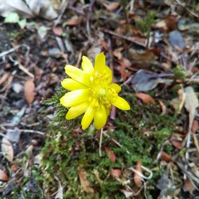 VrulyeOyQq56506's profile picture. 